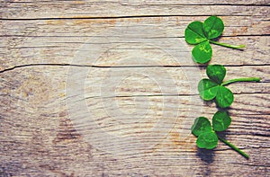 Clover leaf. Happy St. Patrick`s Day.