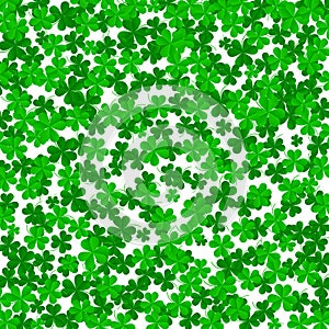 Clover leaves on a green background with three-leafed trefoils. St. Patrick`s Day holiday symbol. holiday background