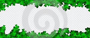 Clover shamrock leaf seamless border. Vector decorative elements template. Patricks Day seamless background with green clover.