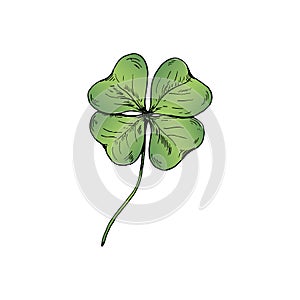 Clover sketch. Hand drawn green four leaf clover. Vector illustration, isolated on white