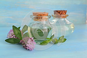 Clover tincture or infusion and clover flowers bunch. Healthy lifestyle concept