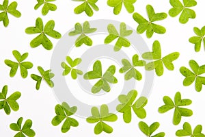 Clovers