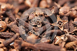 Cloves photo