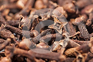 Cloves photo