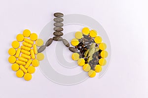 Cloves, cardamom and yellow tablets making a pair of lung shape. Decongestant drugs concept