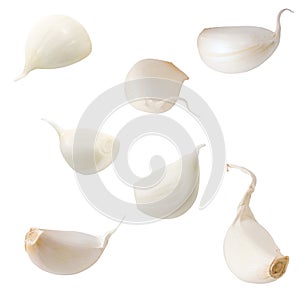 Cloves of garlic set isolated on white.