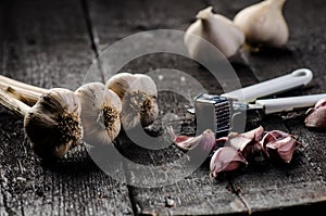 Cloves of garlic on a wooden black table. Fresh garlic bulb with iron garlic press. Vintage background. Farmer. Medicine and healt