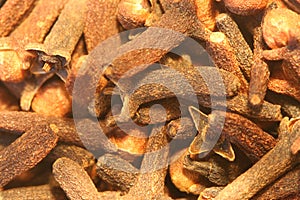 Cloves macro