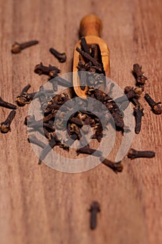 Cloves spice