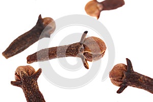 Cloves spice. Some dried cloves, macro close-up Isolated on white background, with a light shadow.