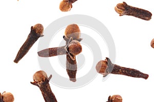 Cloves spice. Some dried cloves, macro close-up Isolated on white background, with a light shadow.