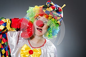 Clown with boxing gloves in funny concept