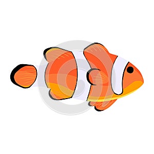 Clown fish. Amphiprioninae icon isolated on white backdrop