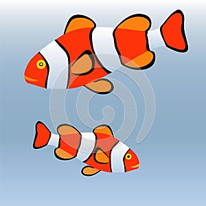 Clown fish or anemone fish