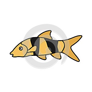 clown loach fish icon design template vector illustration