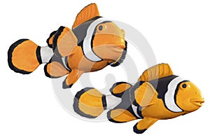 Clownfish