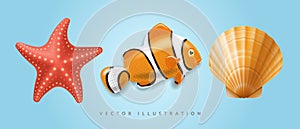 Clownfish fish, shell and starfish set on a blue background, vector