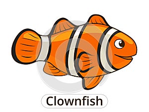 Clownfish sea fish cartoon illustration