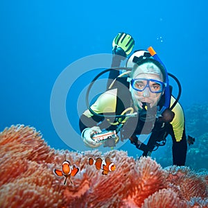 Clownfishes and photographer