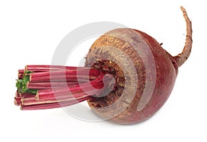 Fresh Beet over white background