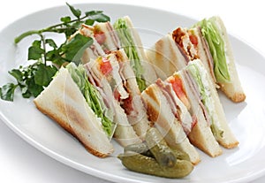 Club sandwich , clubhouse Sandwich photo