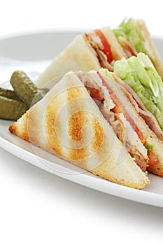 Club sandwich , clubhouse Sandwich