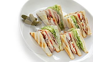 Club sandwich , clubhouse Sandwich photo