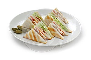 Club sandwich , clubhouse Sandwich photo