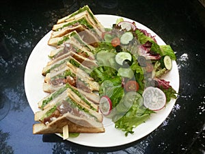 Club Sandwich delight with fresh salad top