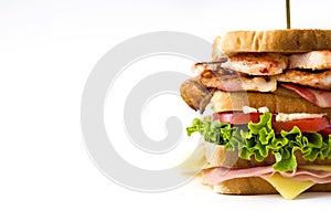 Club sandwich isolated