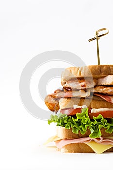 Club sandwich isolated