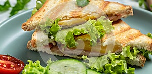 Club sandwich panini with ham, cheese and tomatoes. Food recipe background. Close up