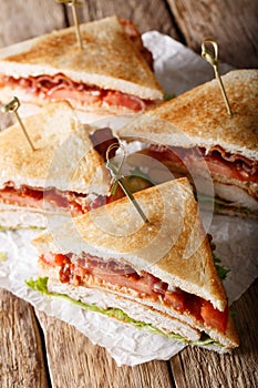 Club sandwich with turkey, bacon, cheese and vegetables close-up. vertical