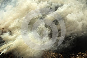 Clubs acrid smoke of burning hay background