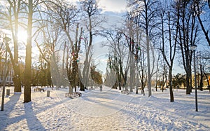 Cluj Napoca Central Park during winter