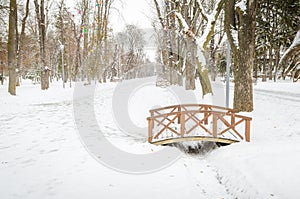 Cluj Napoca Central Park during winter