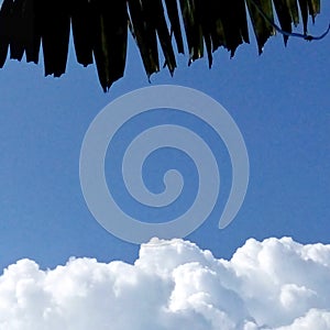 Clumped white clouds and a clear blue sky. A cloud like cotton candy. Sky and clouds as background.