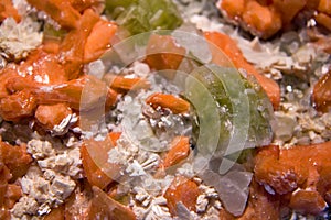 A cluster of Apophyllite and Stilbite Zeolite crystals