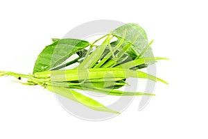 Cluster bean or guar been indian vegetable in white background