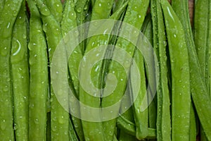Cluster Bean or  GuarAlso Known as Gavar, Guwar or Guvar Bean isolated on Wooden Background photo
