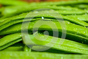 Cluster Bean or  GuarAlso Known as Gavar, Guwar or Guvar Bean isolated on Wooden Background photo