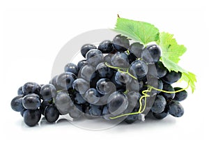 Cluster of blue grape isolated