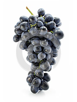 Cluster of blue grape isolated