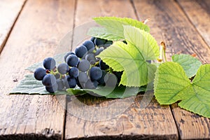 Cluster of blue grape with leaves on wooden background. Close-up