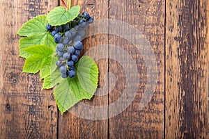 Cluster of blue grape with leaves on wooden background. Food background. Top view, copy space