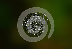 A cluster of droplets of water forming a delicate pattern