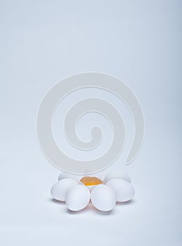 Cluster of eggs on a white background