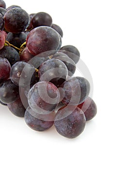Cluster of fresh blue grapes