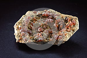 Cluster of Garnet Almandine crystals from Italy.