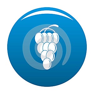 Cluster grape icon vector blue